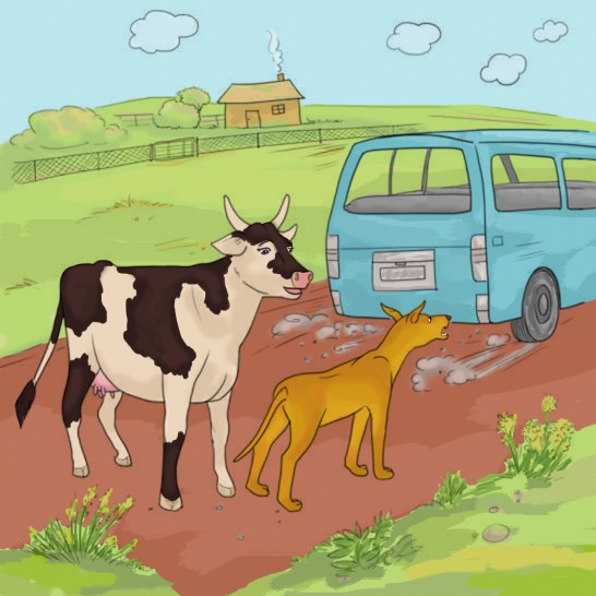 A cow and dog looking at a taxi driving away.