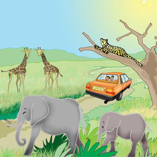 A car driving past mountains and wild animals.